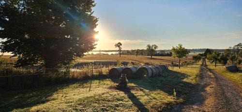 Walcha House | Red Hill Cabin #1 Walcha