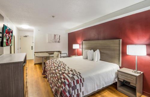 Rochester Hotel | Red Roof Inn Rochester - Airport