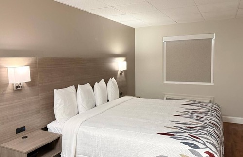 Swansea Hotel | Red Roof Inn & Suites Swansea