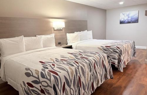 Swansea Hotel | Red Roof Inn & Suites Swansea