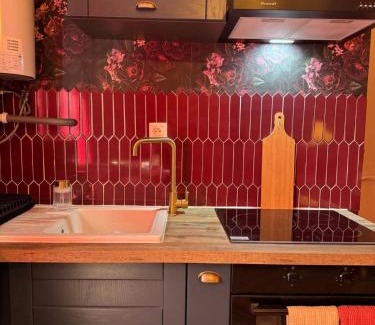Chateauroux Apartment | RED SPARROW -T2 avec jacuzzi
