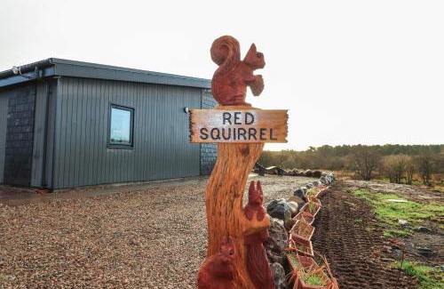 Dornoch House | Red Squirrel