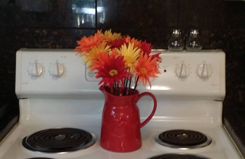 Blairsville House | Redbird Retreat - pet friendly