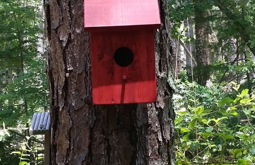 Blairsville House | Redbird Retreat - pet friendly
