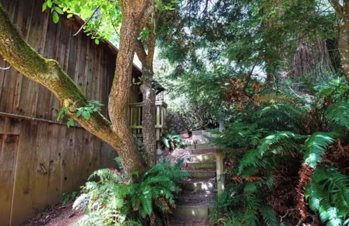 Arcata Apartment | Redwood Hideaway