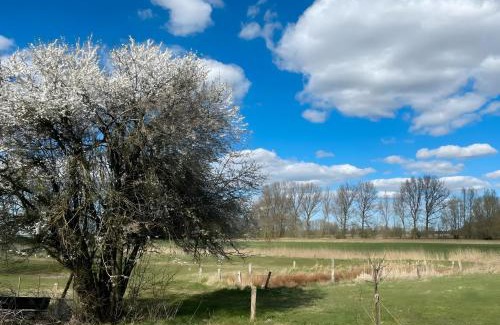 Hemme House | Reetkate Hemme