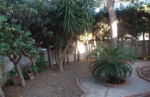 Sant'Andrea Bonagia Villa | refuge of the rooster- in the green near the sea