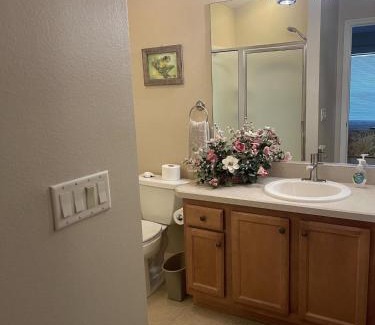 Virginia Trace House | Reidville - Patio Villa Near Sumter Landing- Villagepeople