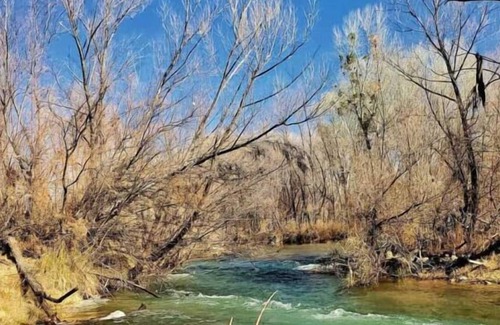 Camp Verde House | Relax and Recharge! Pets Allowed, Onsite Pool, FREE Parking!