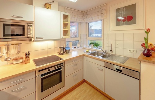 Gaienhofen Apartment | Relax & enjoy: Haubentaucher holiday apartment directly on the lake in Hemmenhof