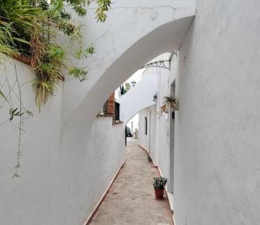 Alcala de los Gazules Apartment | Relax entre montaña y playa