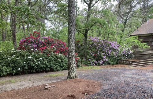 Harwich House | Relax in a tranquil log home on direct lake front property. The Hermitage awaits
