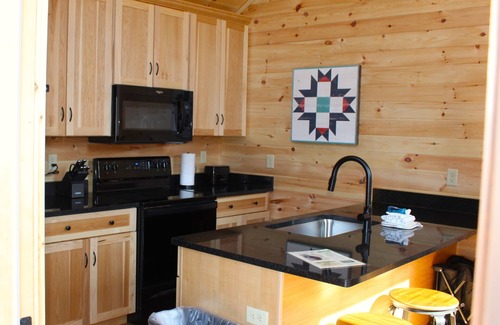 Pigeon Forge Cabin | Relax In Treetops 1b/1ba sleep 4 Private Deck, Gas Grill, Hot Tub, Cozy Comfy