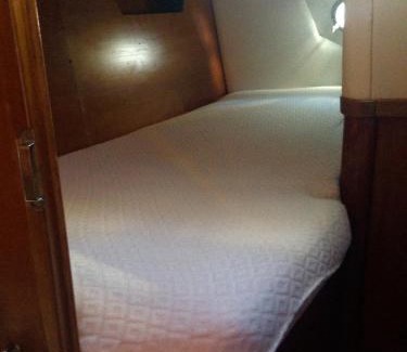 Rosignano Solvay Boat Rental | RELAX Orca 43