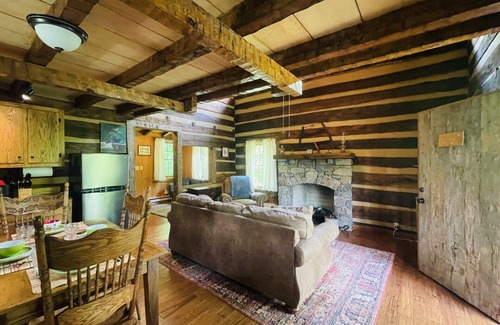 Hot Springs Cabin | Relax & Unwind in an Iconic Cabin! River views
