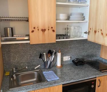 Samedan Apartment | Relaxing confortable studio, heated garage, skiroom