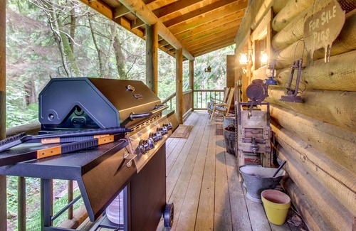 Greenbank Cabin | Relaxing, dog-friendly escape with private hot tub, covered porch & jetted tub