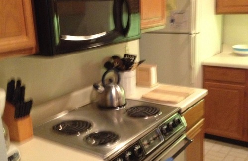Nellysford Condo | Relaxing Mountain Getaway/Pets Ok/Steps Skiing, Golf, Spa, Pools, & Tennis