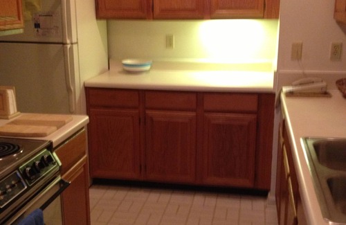 Nellysford Condo | Relaxing Mountain Getaway/Pets Ok/Steps Skiing, Golf, Spa, Pools, & Tennis