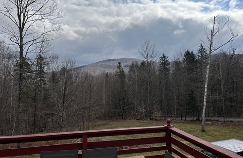 Bridgewater Ski Chalet | Relaxing retreat in the mountains 20 min to Killington