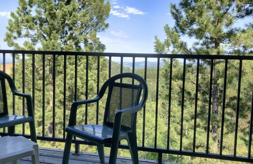 Lead Condo | Remodeled Fully Furnished Barefoot Resort Condo at Terry Peak South Dakota!