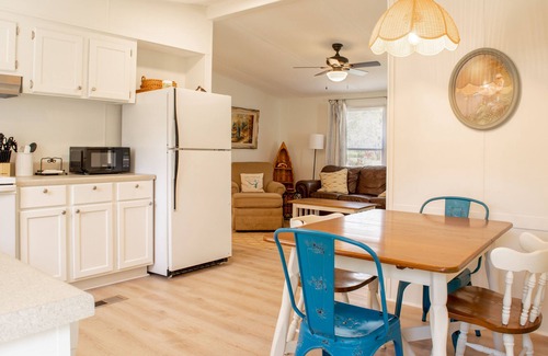Townville House | Remodeled mobile home close to Green Pond and other landings