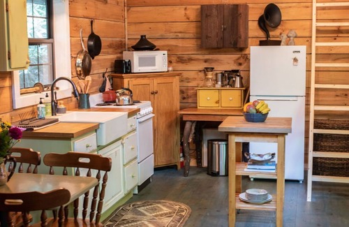 Clayton Cabin | Remote cabin with creek and waterfall views 10 min from town