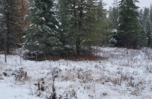 Harvard RV Rental | Remote RV site w/o hookups. Perfect for campers under 30 feet. Site C.