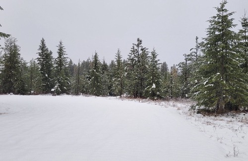 Harvard RV Rental | Remote RV site with full hookups on 16 wooded acres. Site B.