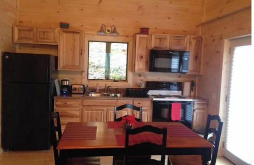 Robbinsville Cabin | Renew & Relax in Tranquil & Comfortable Log Cabin