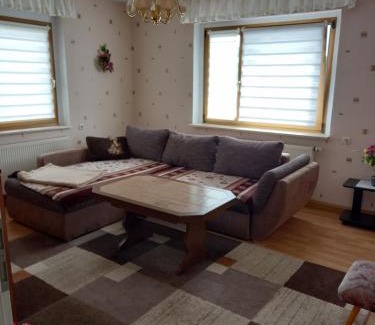 Schmiedefeld am Rennsteig Apartment | Rennsteigwohnung Rust