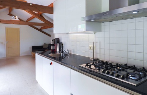 Grijpskerke House | Renovated 6-person holiday home in Grijpskerke, rurally and centrally located