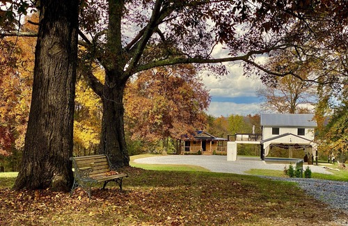 Hickman House | Renovated Airstream on 40 Park-like Acres in Dickson, TN, 45 Min. from Nashville
