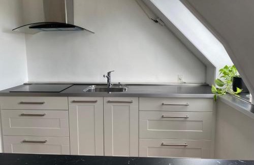 Birkerod Apartment | Renovated apartment