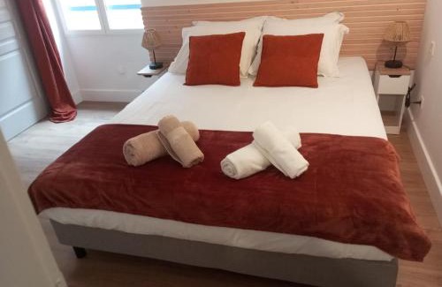 Saint-Jean Apartment | Renovated apartment, hyper center, private parking