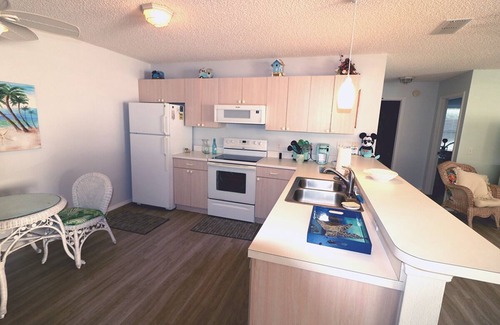 Santiago House | Renovated, Pet Friendly! LIVING IT UP IN THE VILLAGES! 2bed, 1bath Furnished