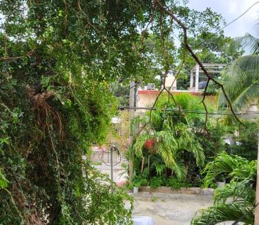 Downtown Cancun Apartment | Rentas PalRey