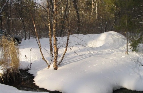 Glendale House | Renting for 31+ days; Competitive pricing, Cozy, Scenic, Quiet, area.