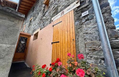 Saint-Martin-de-Belleville Apartment | Residence Abeille - 2 pièces mezzanine 4 personnes, 50m² + 10m² - Centre du village MAE-4111