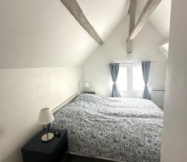 Old Town Apartment | Residence Champenoise 5, Troyes - France