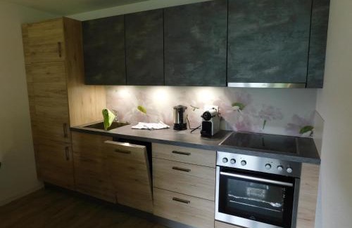 Bellwald Apartment | Residence Edelweiss C313