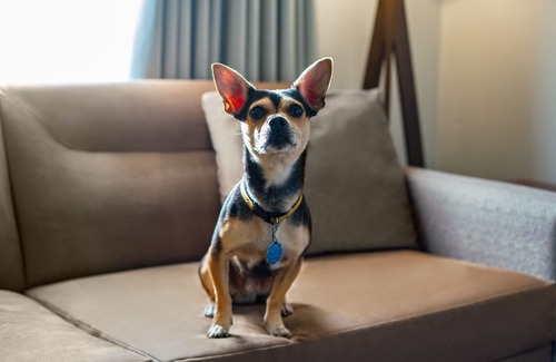 Lexington Hotel | Residence Inn by Marriott Lexington