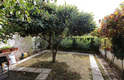 Palinuro Apartment | Residence San Salvatore