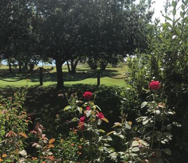 Poggio-Mezzana Apartment | Residence Scopa Marina