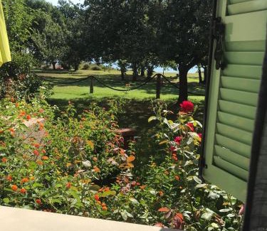 Poggio-Mezzana Apartment | Residence Scopa Marina