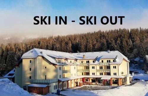 Feldberg Apartment | Residenz Grafenmatt Feldberg