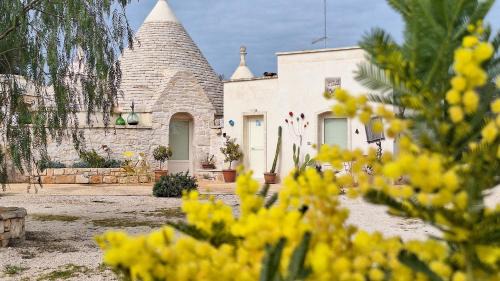 Francavilla Fontana House | Residenza Anima Mediterranea
