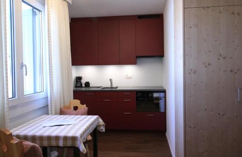 Sils-Maria Apartment | Residenza Lagrev Studio Nr 013 - Typ 10B - Hochparterre - Ost