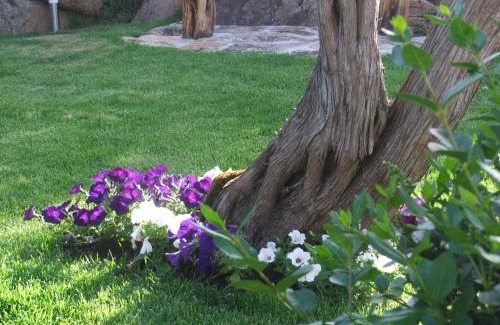 Abbiadori Bed & Breakfast | Residenza Nialiccia