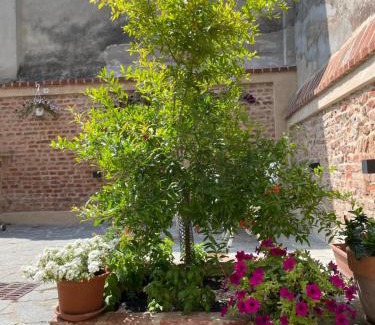 Casale Monferrato Apartment | Residenza Nikol appartamento Giulia